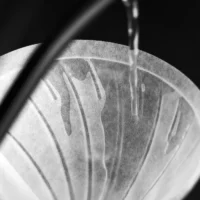 Sibarist Cone Wet SIBARIST CONE FAST AND B3 MEDIUM (QTY 100 Pack)