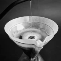 Sibarist cone XL II SIBARIST CONE FAST XL (QTY 100 Pack)