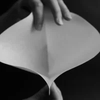 Sibarist cone XL V SIBARIST CONE FAST XL (QTY 100 Pack)